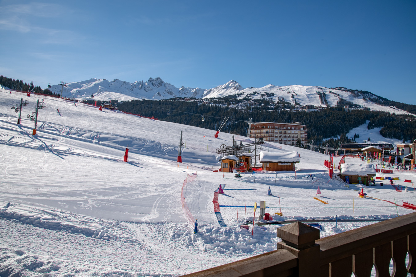 Le ski